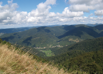 charbonniers-saintmauricesurmoselle