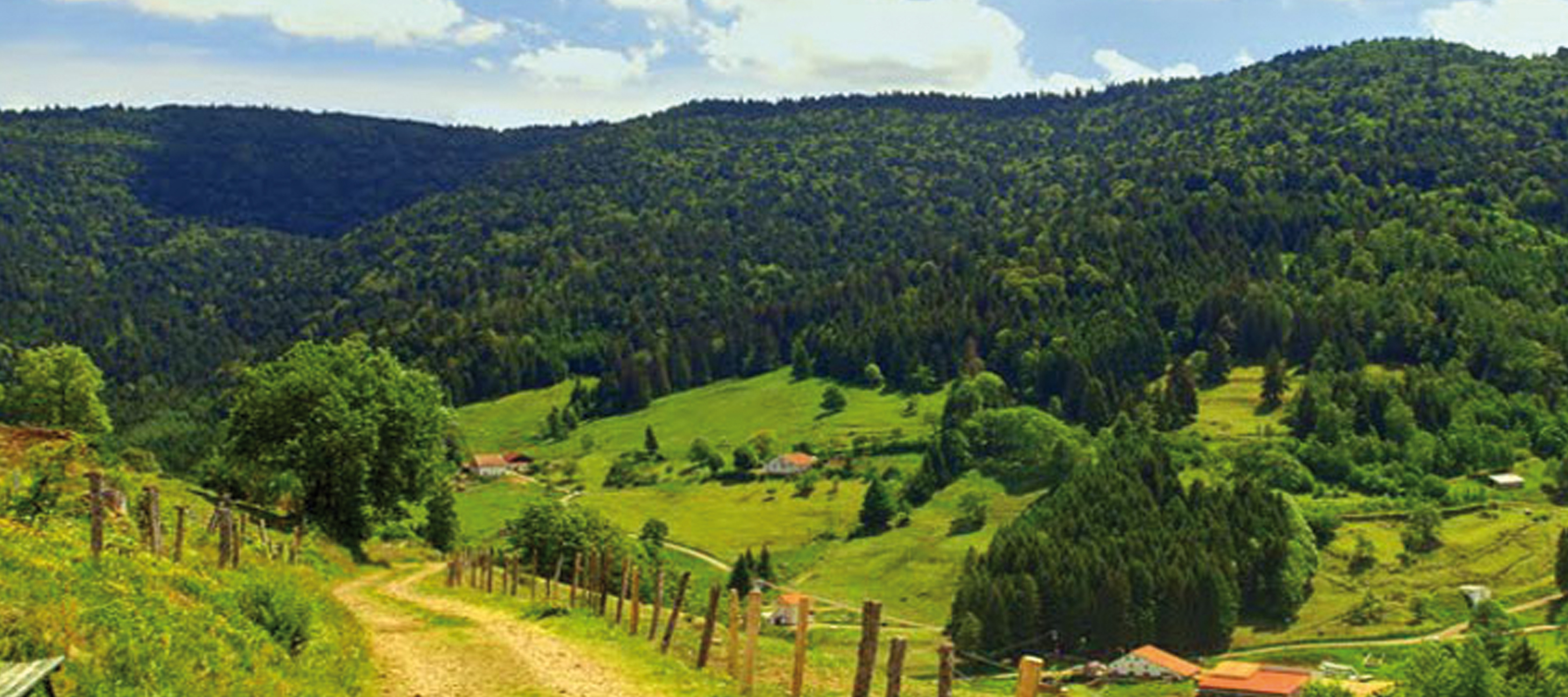 Saint Maurice sur Moselle l'été